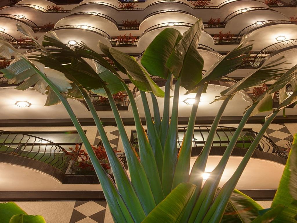 Atlantic Palace Hotel Ponta Negra Exterior foto